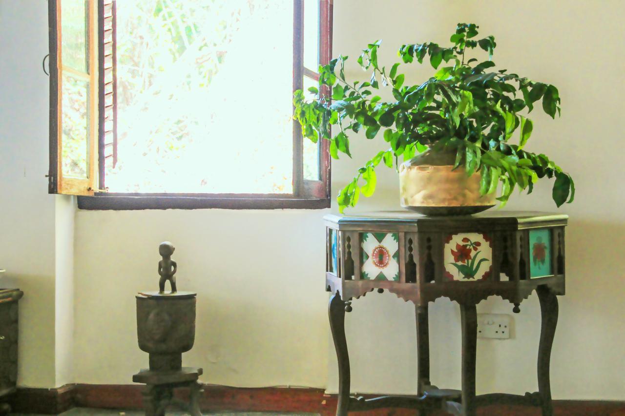 Hiliki House Bed and Breakfast Zanzibar Exteriör bild